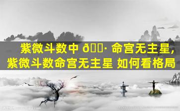 紫微斗数中 🌷 命宫无主星,紫微斗数命宫无主星 如何看格局